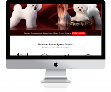 Создание сайта для питомника Бишон Фризе в Москве